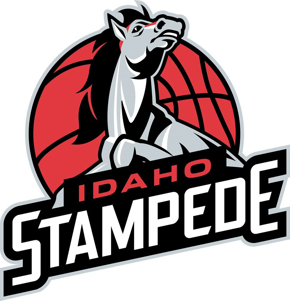 Idaho Stampede 2015-Pres Primary Logo iron on heat transfer